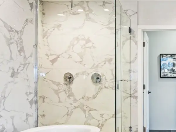 Frameless Shower Door